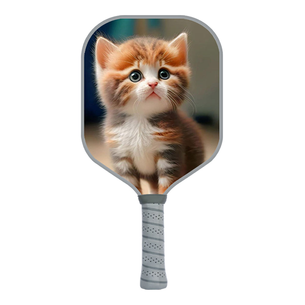 Best Beginner Pickleball Paddles - تصویر 2