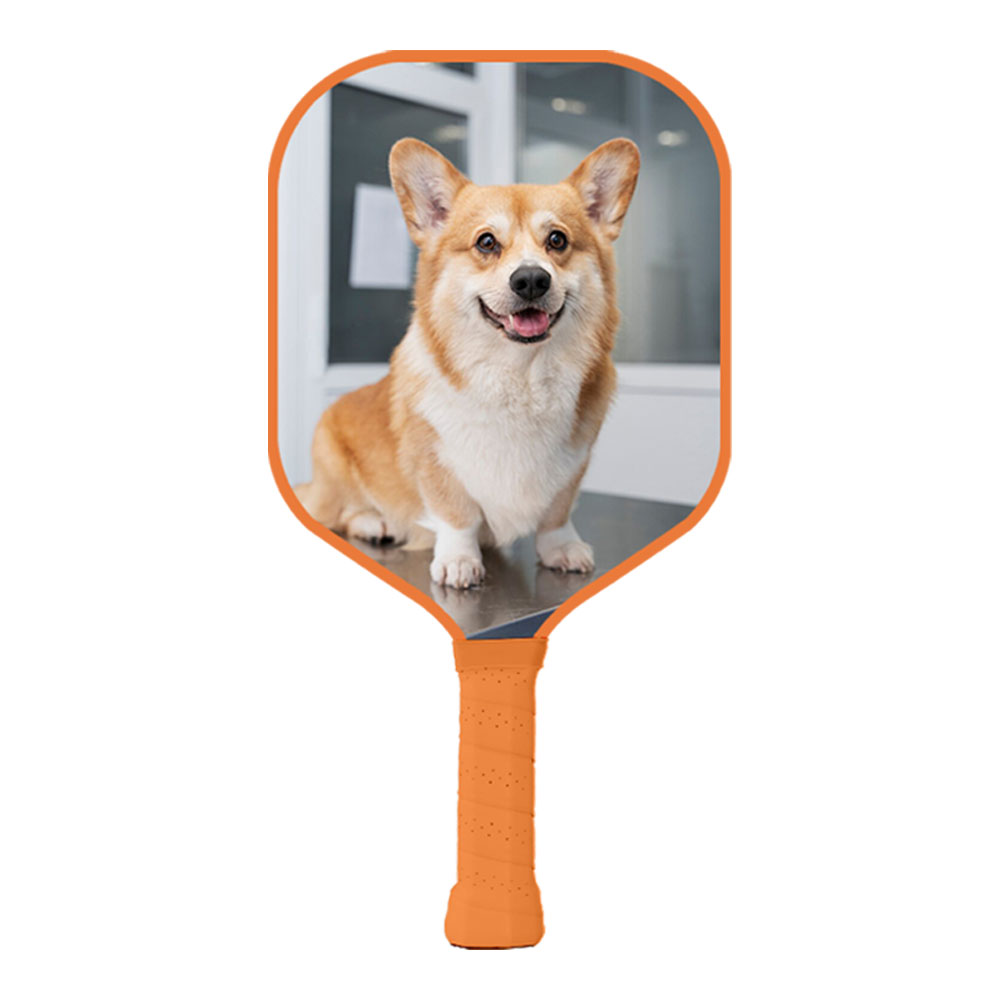 Best Beginner Pickleball Paddles - تصویر 3